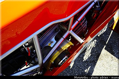 paddock_0108.JPG