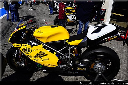 paddock_0110.JPG