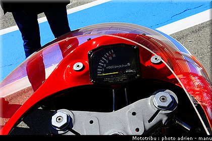 paddock_0121.JPG