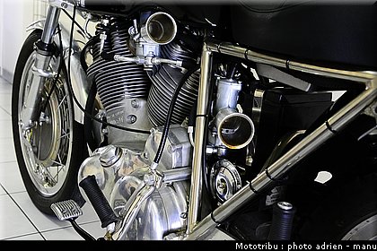 paddock_0130.JPG