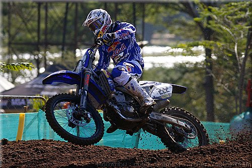 cairoli_3.jpg