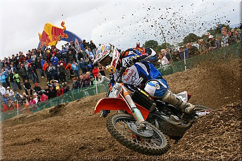 searle_08.jpg