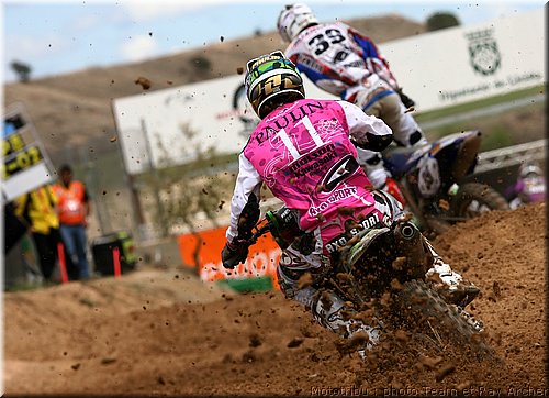 paulin_4.jpg