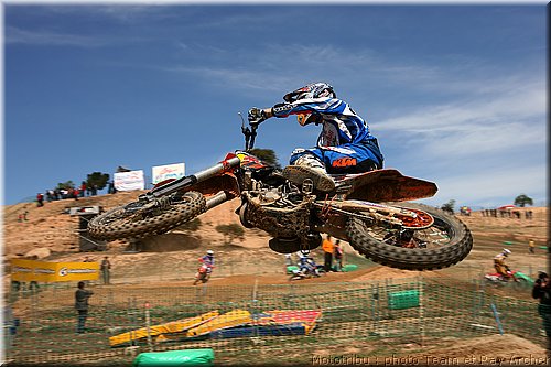 searle_1.jpg
