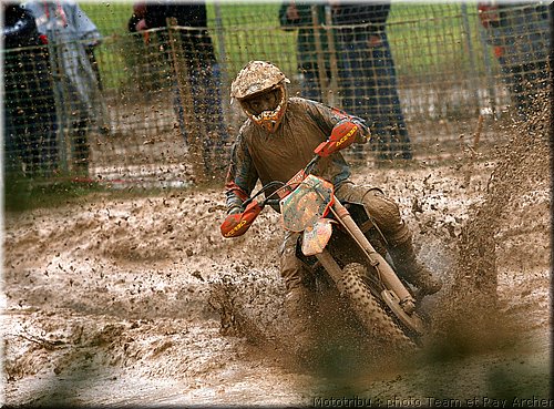 searle_6.jpg
