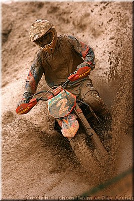 searle_7.jpg