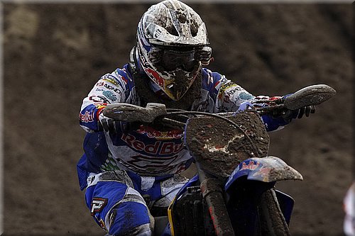 cairoli_4.jpg
