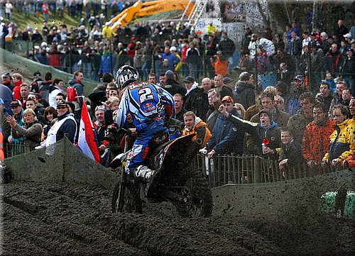 searle_3.jpg