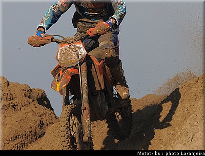 everts_2.jpg