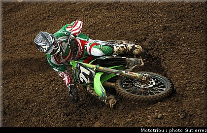 paulin_5.jpg