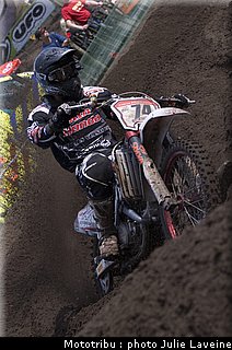 mx12_steinbergs_1.jpg