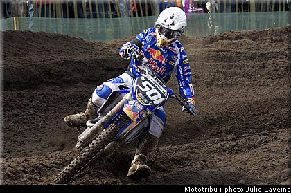 mx21_lupino_1.jpg