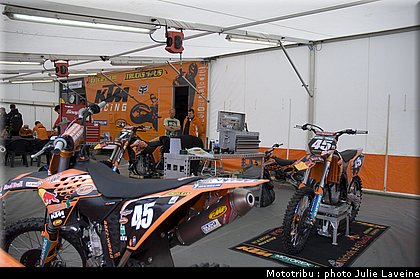 paddock_006.jpg