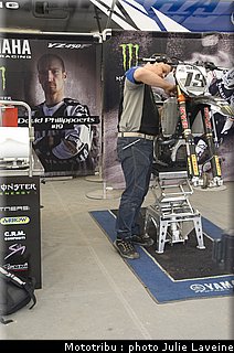paddock_025.jpg