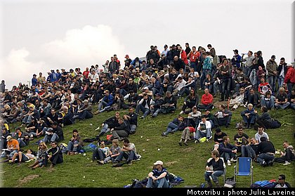 paddock_029.jpg