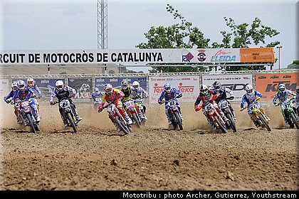 mx1_4.jpg