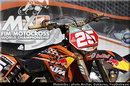 musquin_14.jpg