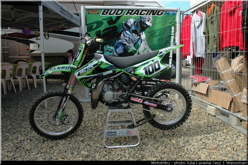 paddock_01