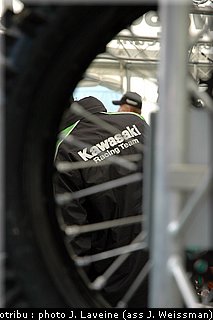 paddock_07.jpg