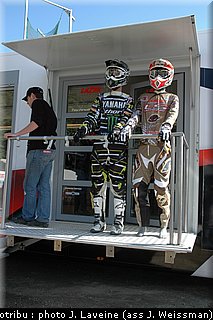 paddock_10.jpg