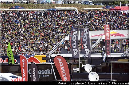 paddock_18.jpg