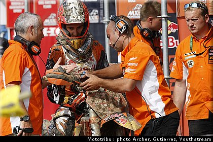 musquin_01.jpg
