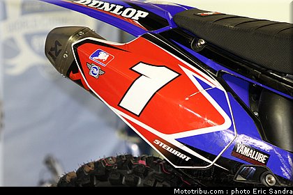 stewart_07_bercy_2009.jpg