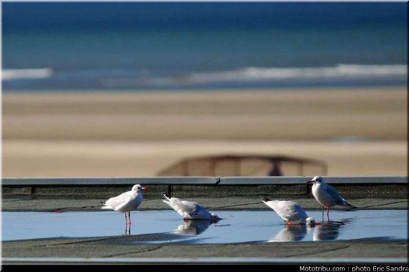 beach_cross_berck_014