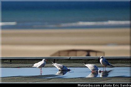 beach_cross_berck_014.jpg