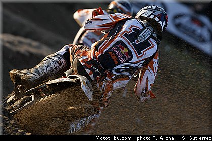 simpson_01_mantova_2010.jpg