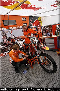 simpson_12_mantova_2010.jpg