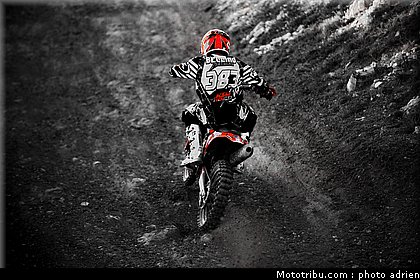 bellino_1_mx_pernes_2010.JPG