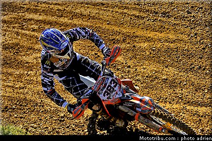 bellino_2_mx_pernes_2010.JPG