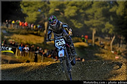 llamas_04_mx_masculin_pernes_2010.JPG