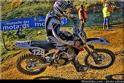 llamas_05_mx_masculin_pernes_2010.JPG