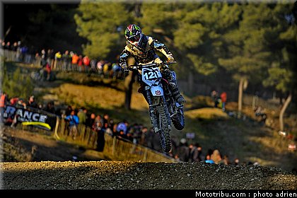 llamas_06_mx_masculin_pernes_2010.JPG
