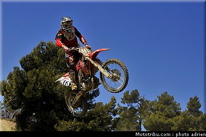 marrone_1_mx_masculin_pernes_2010.JPG