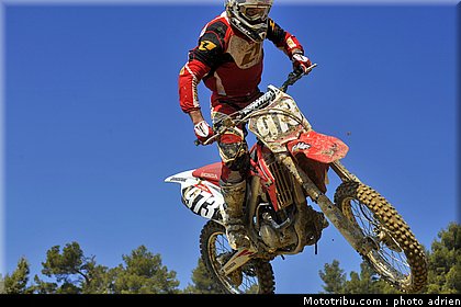 marrone_3_mx_masculin_pernes_2010.JPG