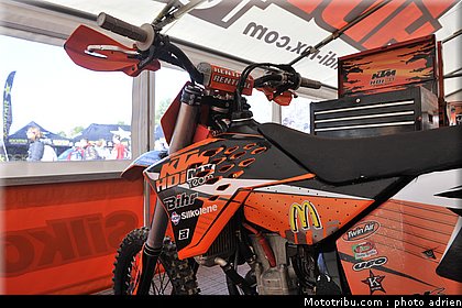 paddock_cross_pernes_2010_019.JPG