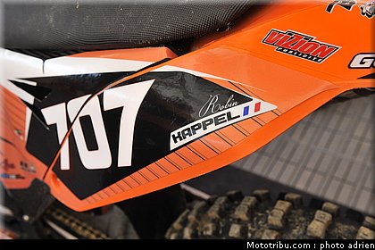 paddock_cross_pernes_2010_020.JPG