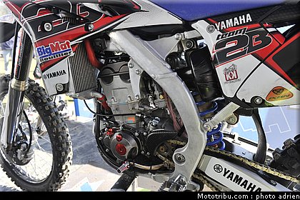 paddock_cross_pernes_2010_052.JPG