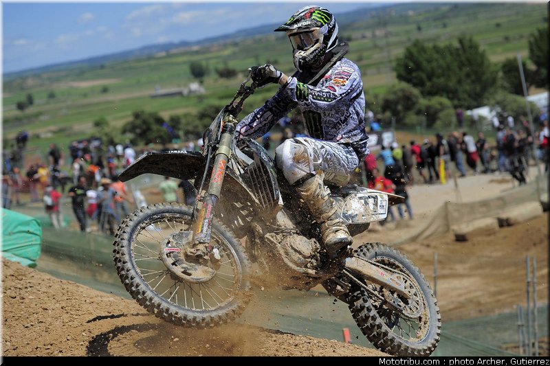 mx_lupino_espagne_2010