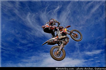 mx_herlings_02_espagne_2010.jpg
