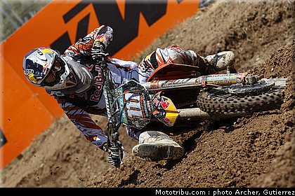 mx_herlings_04_espagne_2010.jpg