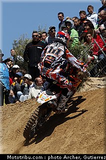 mx_herlings_08_espagne_2010.jpg