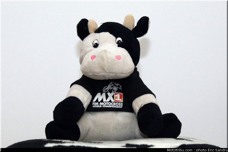 mondial_mx_allemagne_2010_11