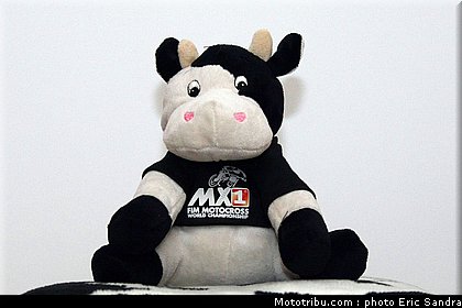 mondial_mx_allemagne_2010_11.jpg
