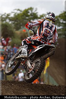 mondial_mx_simpson_3_allemagne_2010.jpg