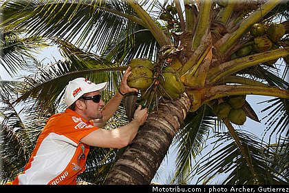 mondial_mx_nagl_01_bresil_2010.jpg
