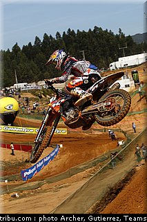 cross_herlings_02_portugal_agueda_2011.jpg